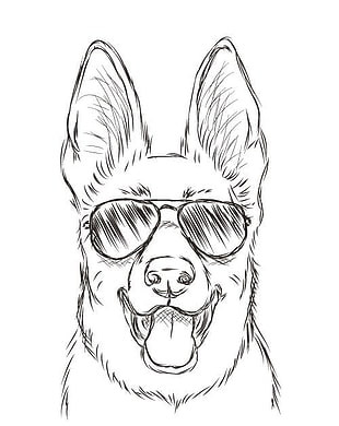 310x390 Step - Lion Drawing Wallpaper