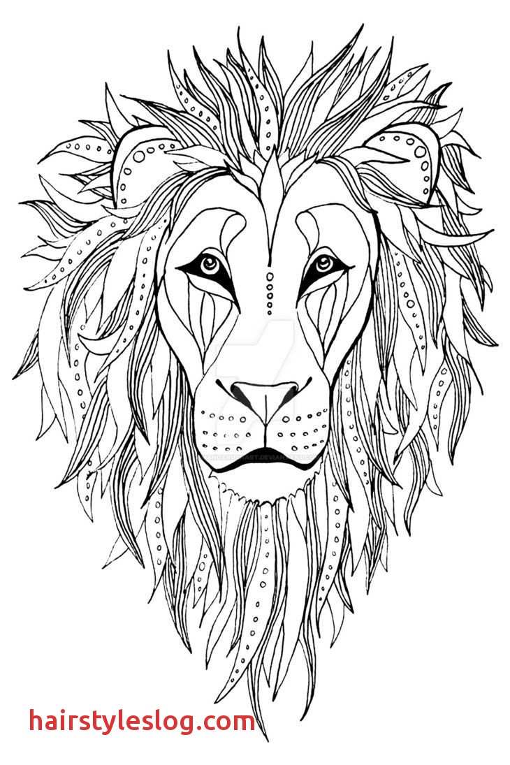 730x1095 Amazing Lion Head Art Drawing Invigorate Lion Drawing Wallpaper - Lion Drawing Wallpaper