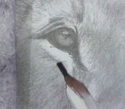 500x436 How To Draw A Lion In Pencil Online Art Lessons - Lion Eyes Drawing