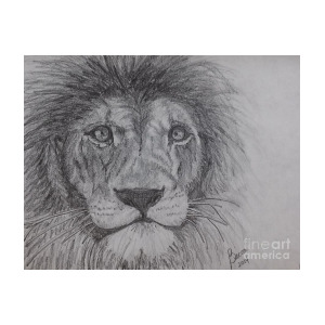 300x300 Lion Eyes Drawing - Lion Eyes Drawing