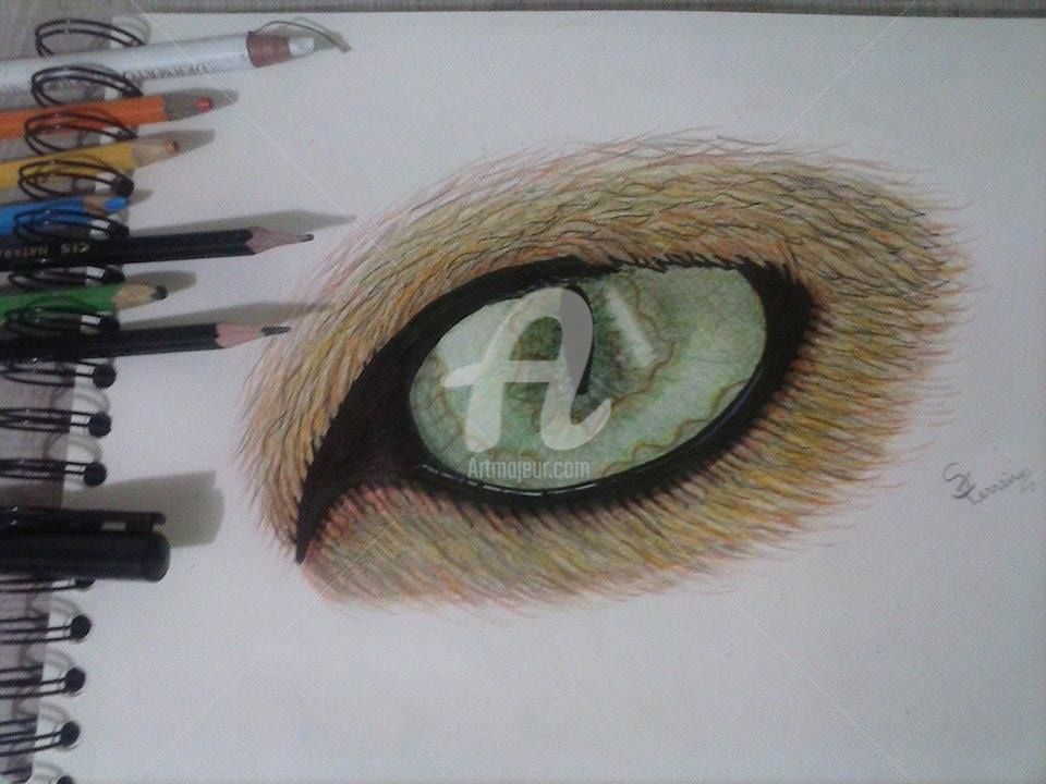 960x720 Lion Eyes Drawing - Lion Eyes Drawing