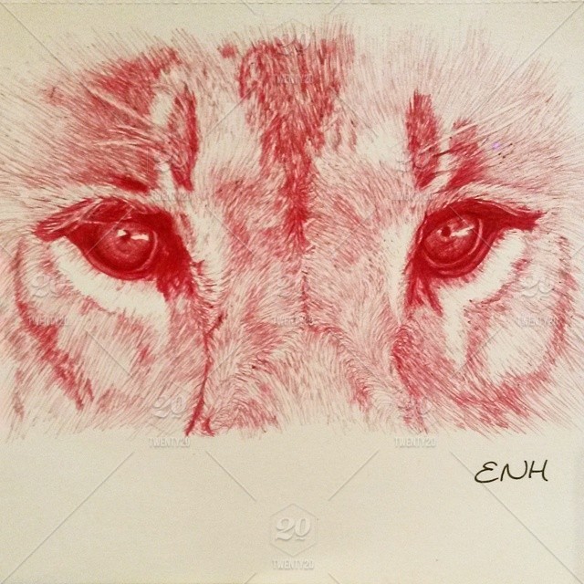 640x640 Ballpoint Pen Drawing Of A Lions Eyes Is Done!!!!! - Lion Eyes Drawing
