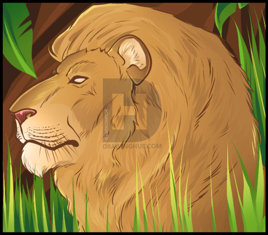 915x802 How To Draw A Lion Face, Step - Lion Face Drawing