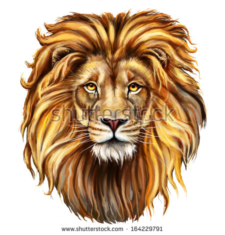 450x470 How To Color A Lion Face Collection Of Lion Face Drawing Color - Lion Face Drawing