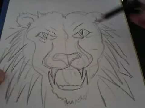 480x360 How To Draw A Lions Face - Lion Face Drawing