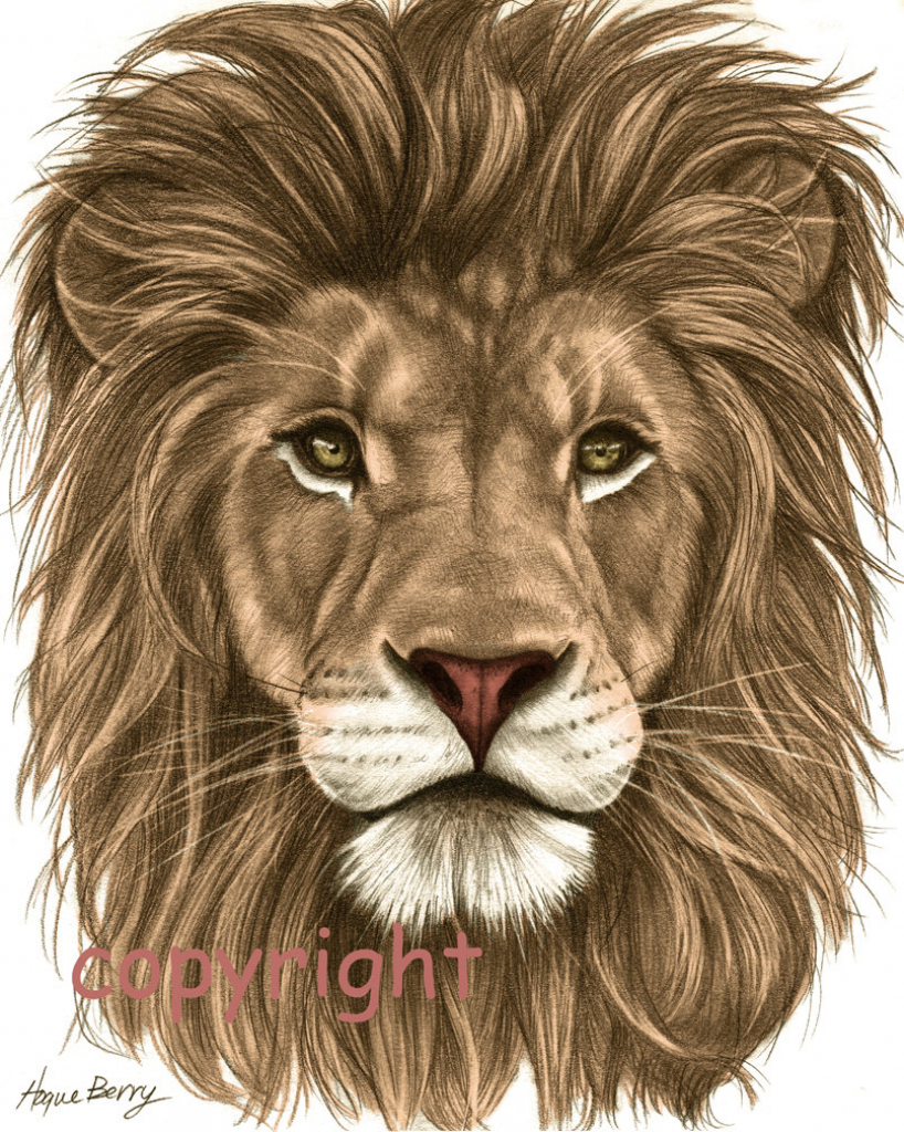818x1024 Pencil Drawings Of Lions Face Lion Face Drawing At Getdrawings - Lion Face Drawing