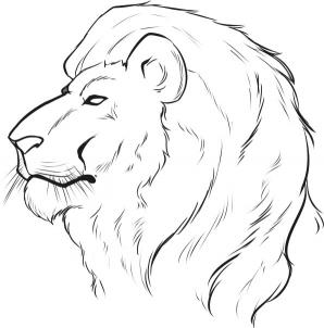 298x302 Drawing Printout How To Draw A Lion Face - Lion Face Drawing