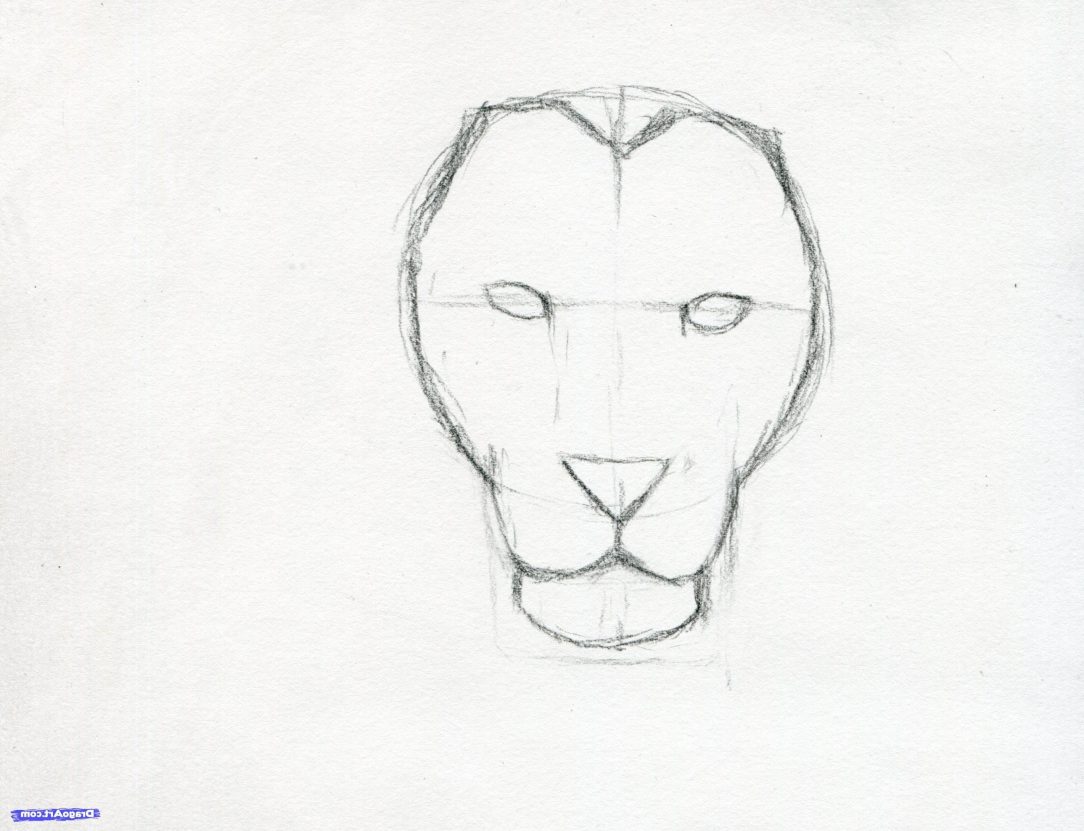 1084x831 How To Draw A Baby Lion Face An Easy And Body Side View Mask Wmstdc - Lion Face Drawing Easy