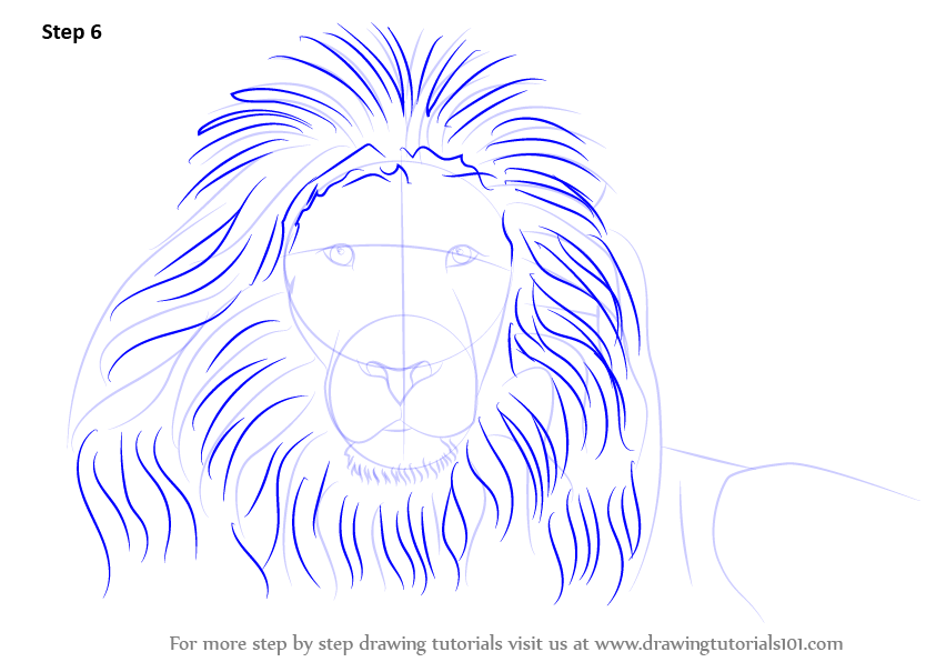 843x596 Learn How To Draw A Lion's Face - Lion Face Drawing Easy