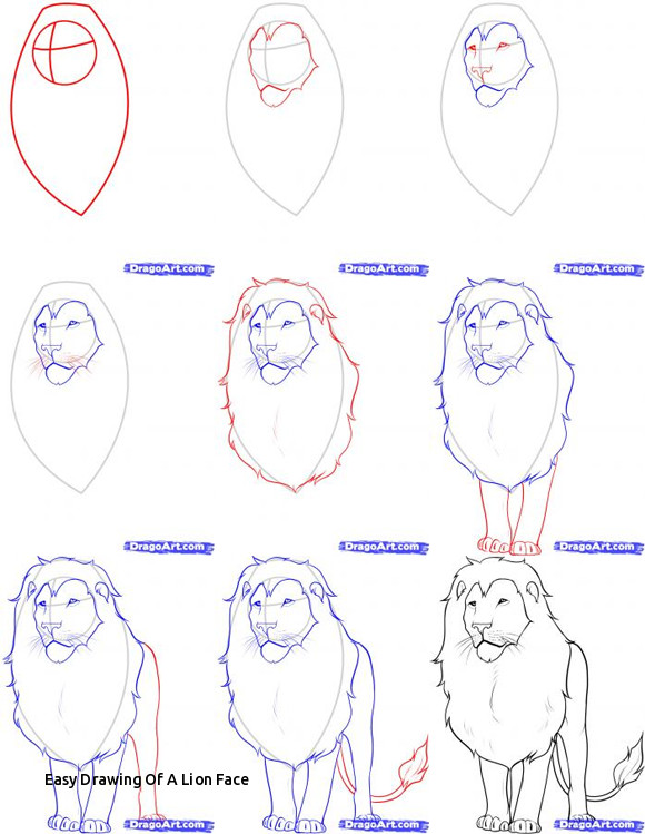 580x749 Easy Drawing Of A Lion Face Below Is A Step - Lion Face Drawing Easy