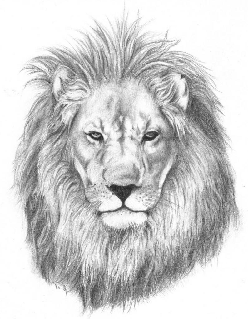 794x1024 Huge Collection Of 'lion Face Drawing' Download More Than - Lion Face Drawing Images
