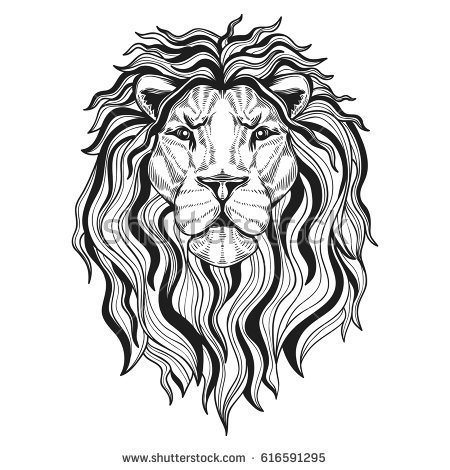 450x470 Lion Head Drawing Lions Head Your Design Stock Vector - Lion Face Drawing Images