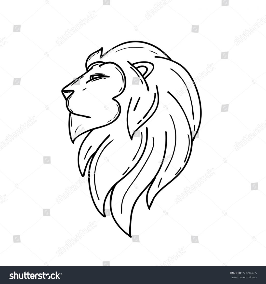 How To Draw A Lion Face Easy - alter playground