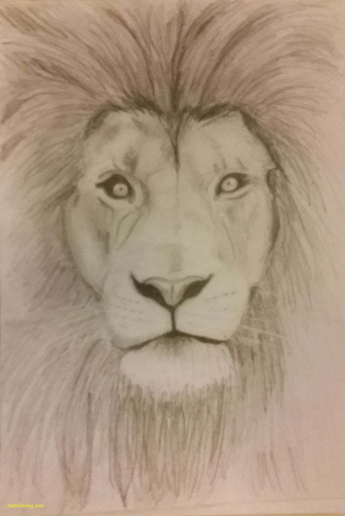 Lion Face Drawing Step By Step
