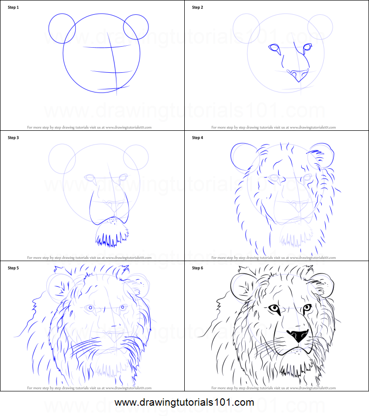 751x846 How To Draw Lion Head Printable Step - Lion Face Drawing Step By Step
