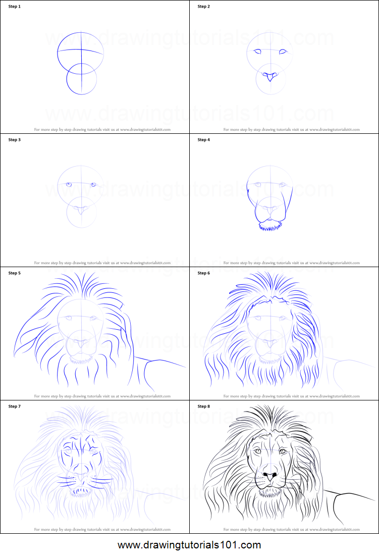 751x1107 How To Draw A Lion's Face Printable Drawing Sheet - Lion Face Drawing Step By Step