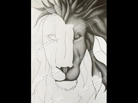 480x360 How To Draw A Lion's Face Step - Lion Face Drawing Step By Step