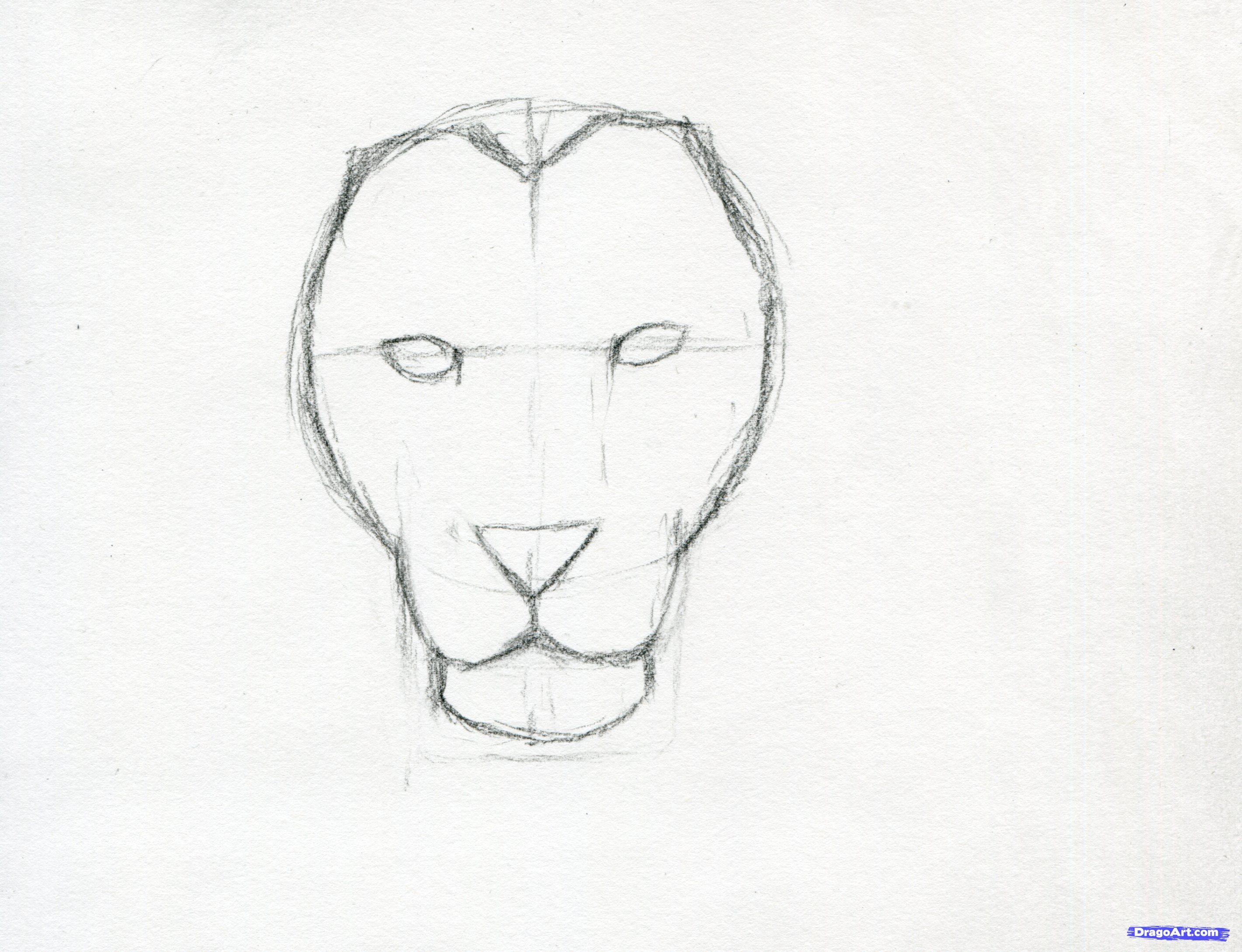 2842x2179 How To Sketch A Lion Step Art Diy Cleaning Organizing - Lion Face Drawing Step By Step