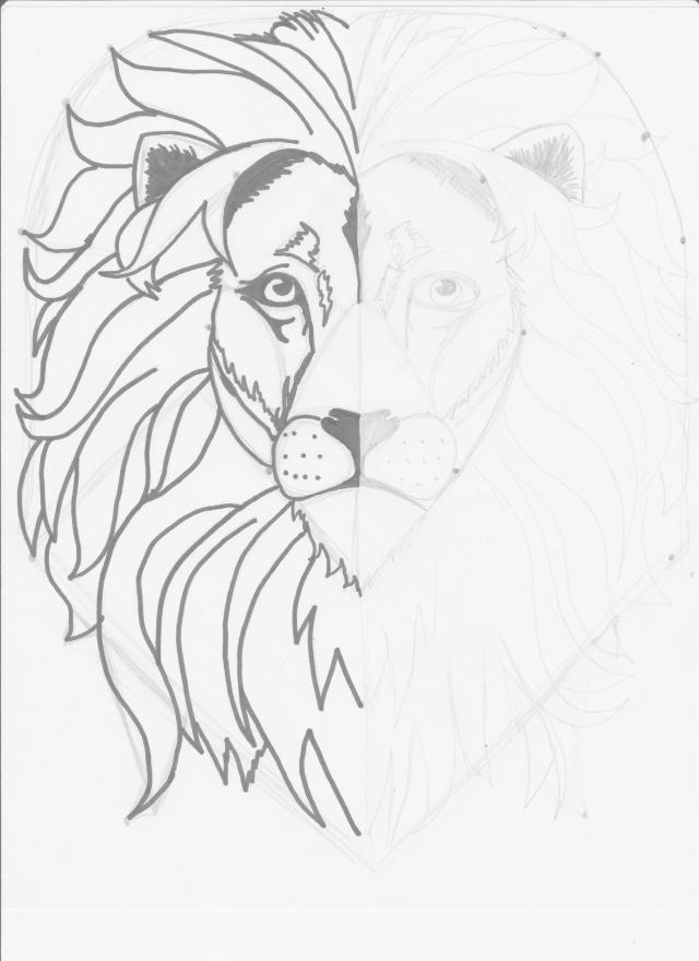 640x880 Lion Drawing Face Mirror Image Week Two Classical Conversations - Lion Face Line Drawing