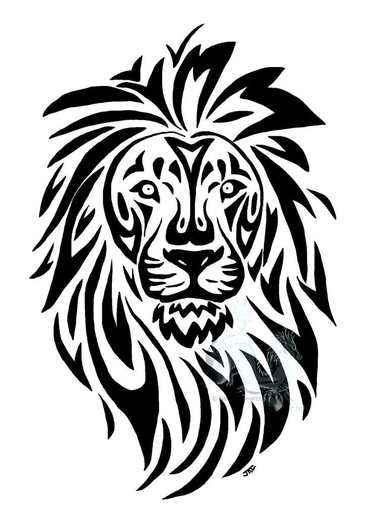 736x1007 Awesome Lineart Lion Face For Free Download - Lion Face Line Drawing