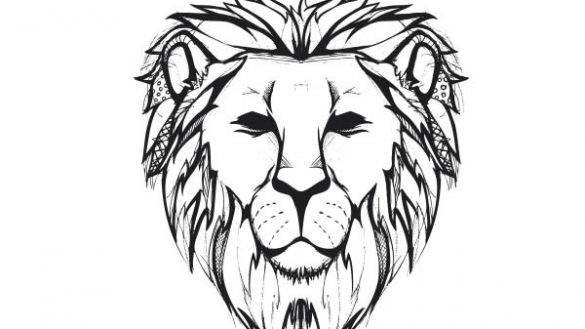 585x329 Lion Drawing Face Stunning Art Pinte Sweet Sardinia Lion Side - Lion Face Outline Drawing