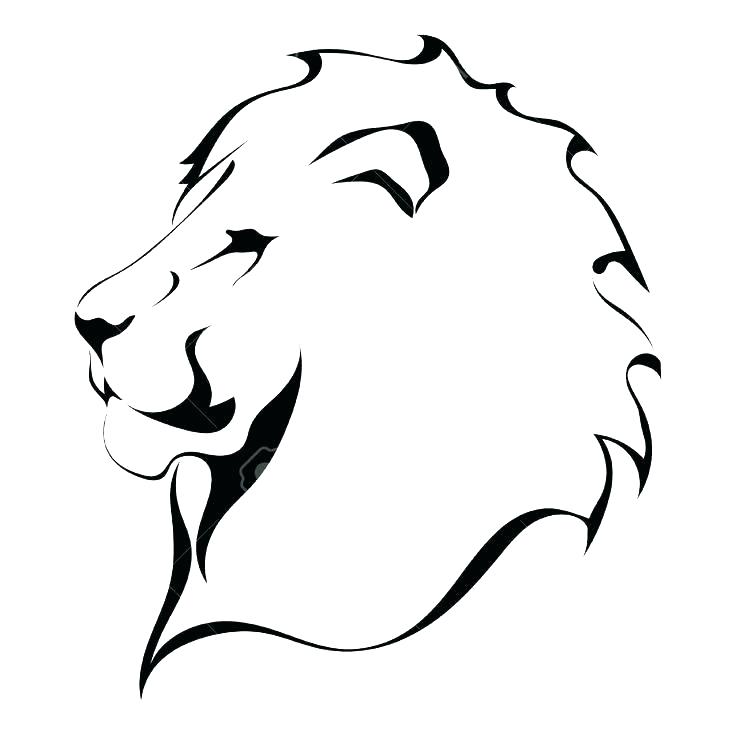 Lion Face Outline Drawing at PaintingValley.com | Explore collection of