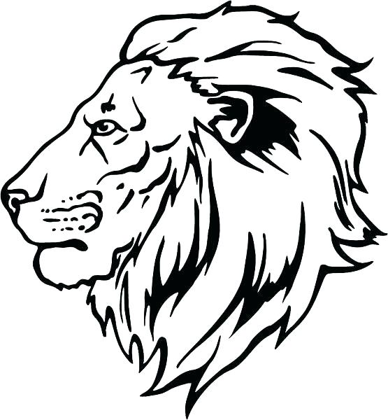 Lion Face Outline Drawing at PaintingValley.com | Explore collection of ...