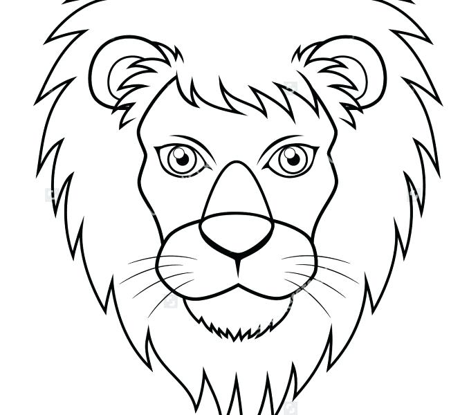 Lion Face Outline Drawing at Explore collection of