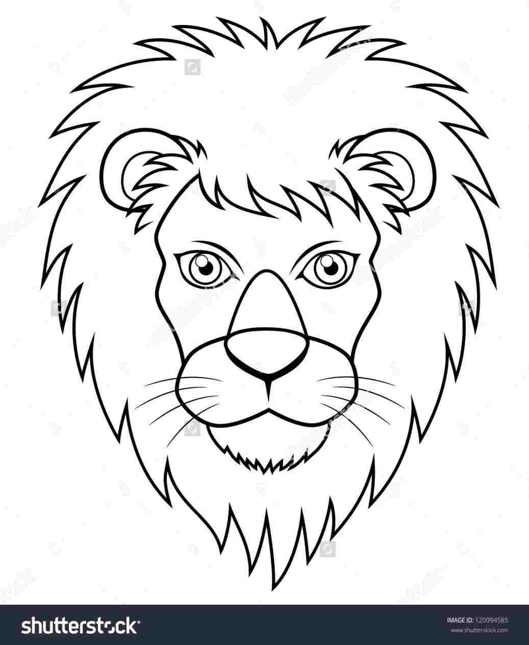 1037x1264 Lion Face Pencil Drawing Outline - Lion Face Pencil Drawing