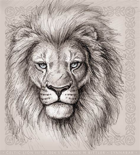 474x525 Lion Face Pencil Drawing Gtgt - Lion Face Pencil Drawing