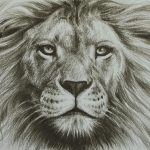 150x150 lion head drawing tumblr thenagaindesign lion head drawing deve - Lion Face Pencil Drawing