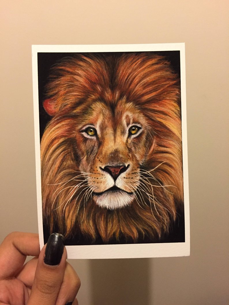 794x1059 Lions Head Pastel Portrait Drawing Print Present For Cat Etsy - Lion Face Pencil Drawing