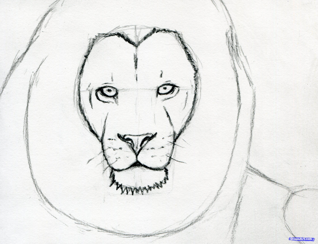 1024x785 pencil drawings of lions face lion face sketches lion face pencil - Lion Face Pencil Drawing