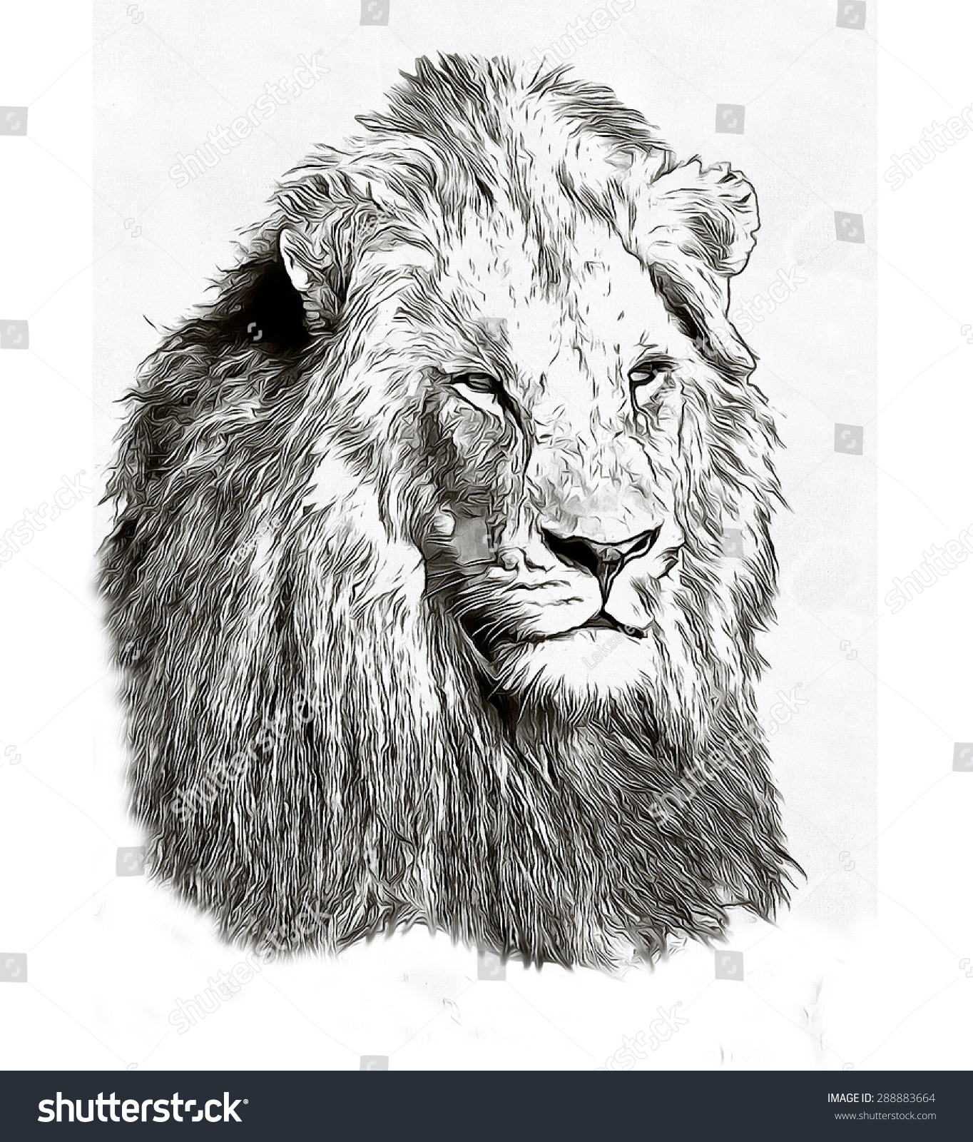 1364x1600 Pencil Sketch Of Lion Head Lion Face Pencil Drawing - Lion Face Pencil Drawing