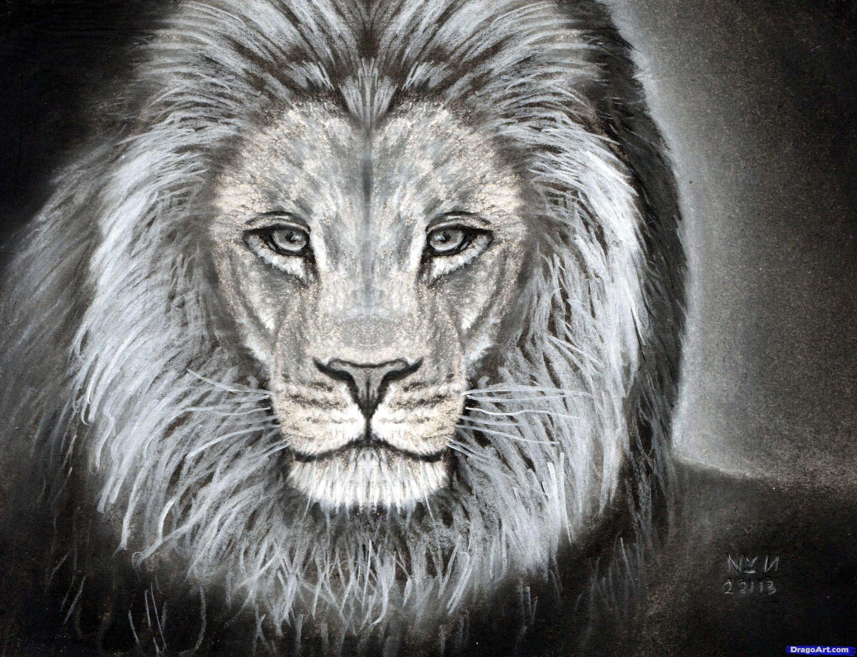 2842x2179 Sad Lion Face Drawing - Lion Face Pencil Drawing