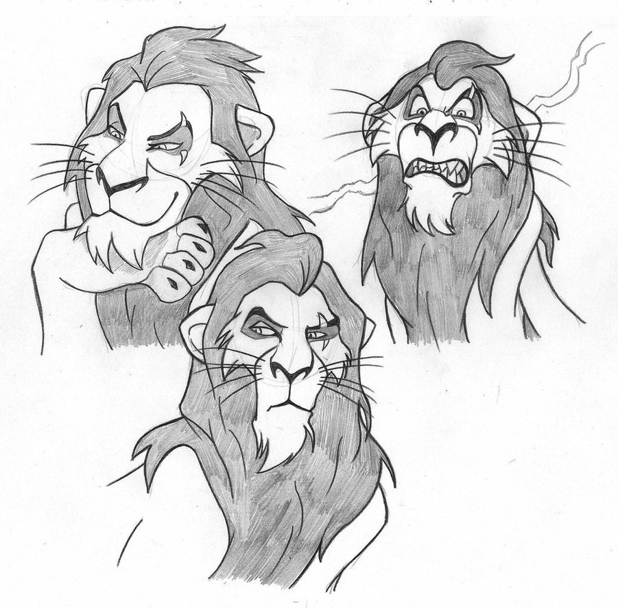 901x887 Best Pencil Drawings Hd Pictures Of Kings Lion Face Pencil Drawing - Lion Face Pencil Drawing