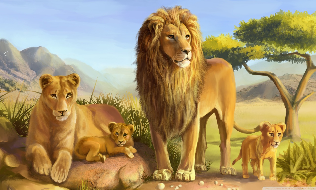 Lion Family Drawing at PaintingValley.com | Explore collection of Lion