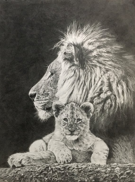 Lion Family Drawing at PaintingValley.com | Explore collection of Lion ...