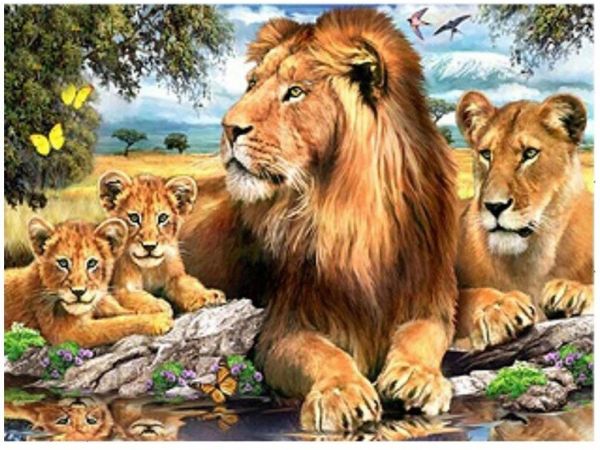 Lion Family Drawing at PaintingValley.com | Explore collection of Lion ...