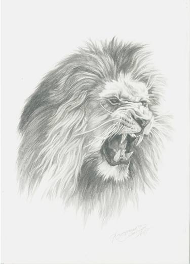 375x519 Lion Drawing - Lion Growling Drawing