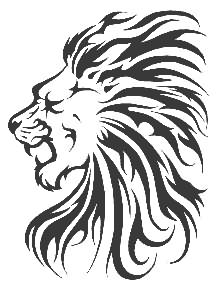 221x290 Lion Head Tattoo Sample - Lion Head Drawing