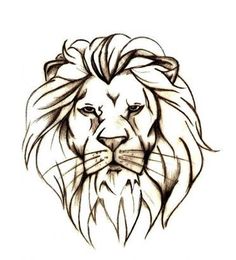 236x260 How To Draw A Lion Head - Lion Head Drawing