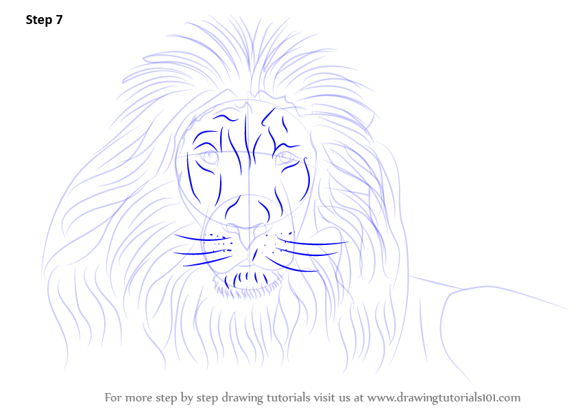 843x596 Learn How To Draw A Lion's Face - Lion Head Drawing Step By Step