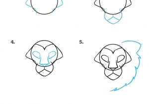 300x210 Lion Drawing Easy Step - Lion Head Drawing Step By Step