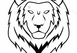 300x210 lion face drawing easy how to draw a lion head lion head easy - Lion Head Drawing Step By Step