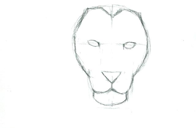 20+ New For Simple Lioness Head Drawing | Barnes Family