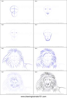 236x347 How To Sketch A Lion Step Art Diy Cleaning Organizing - Lion Head Drawing Step By Step