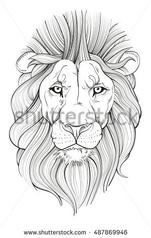 299x470 lion head drawing line drawing lions head vector illustration - Lion Head Drawing Step By Step