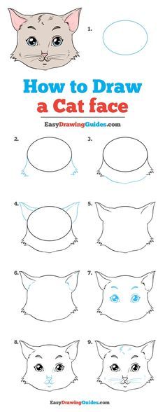 236x588 Basic Drawing Lessons For Beginners And How To Draw A Lion Head - Lion Head Drawing Step By Step