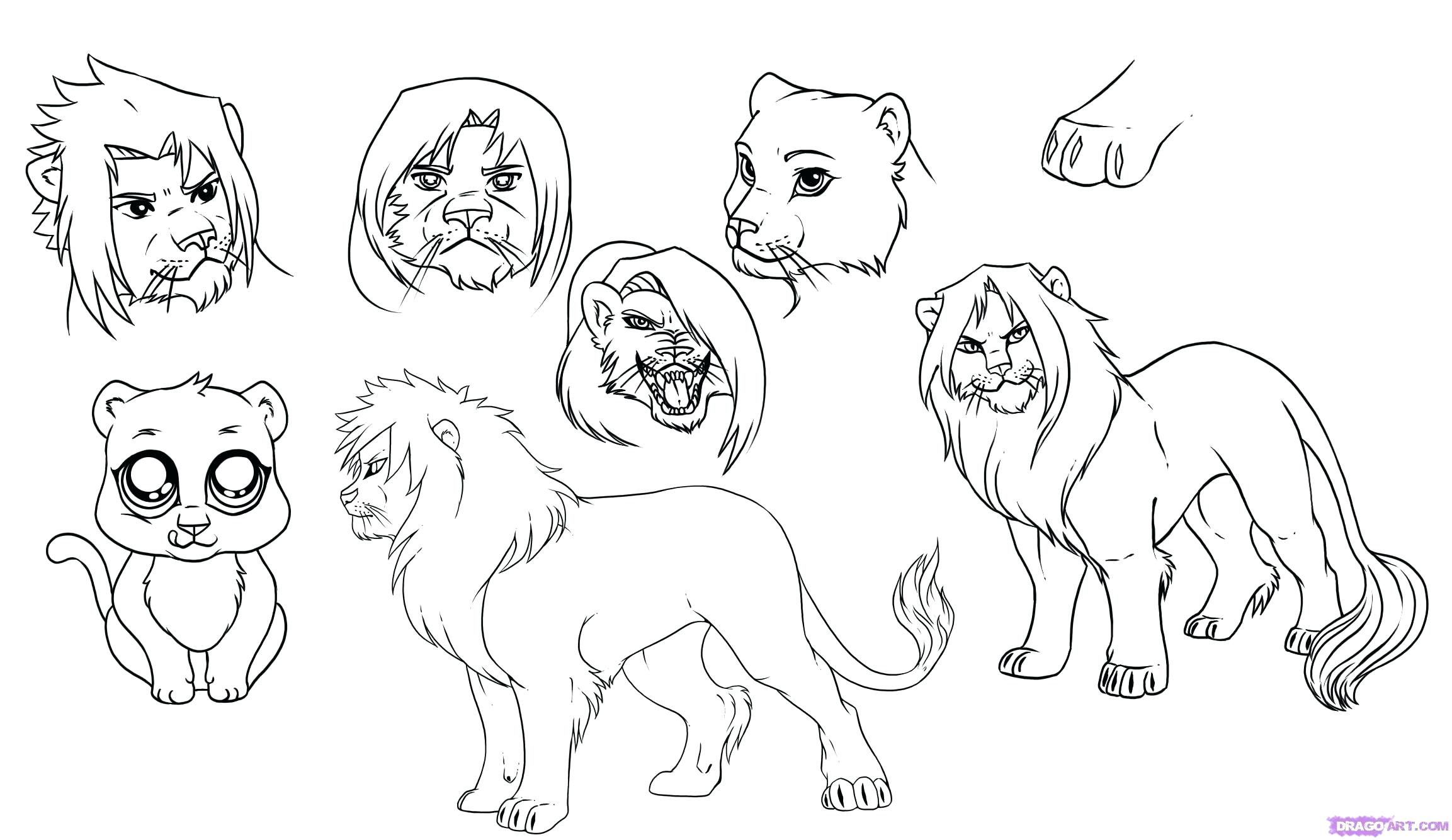 2306x1334 How To Draw A Lion Step - Lion Head Drawing Step By Step